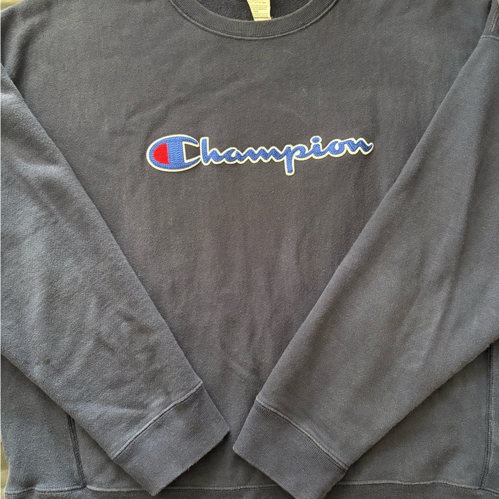 Champion Men's Navy Sweater